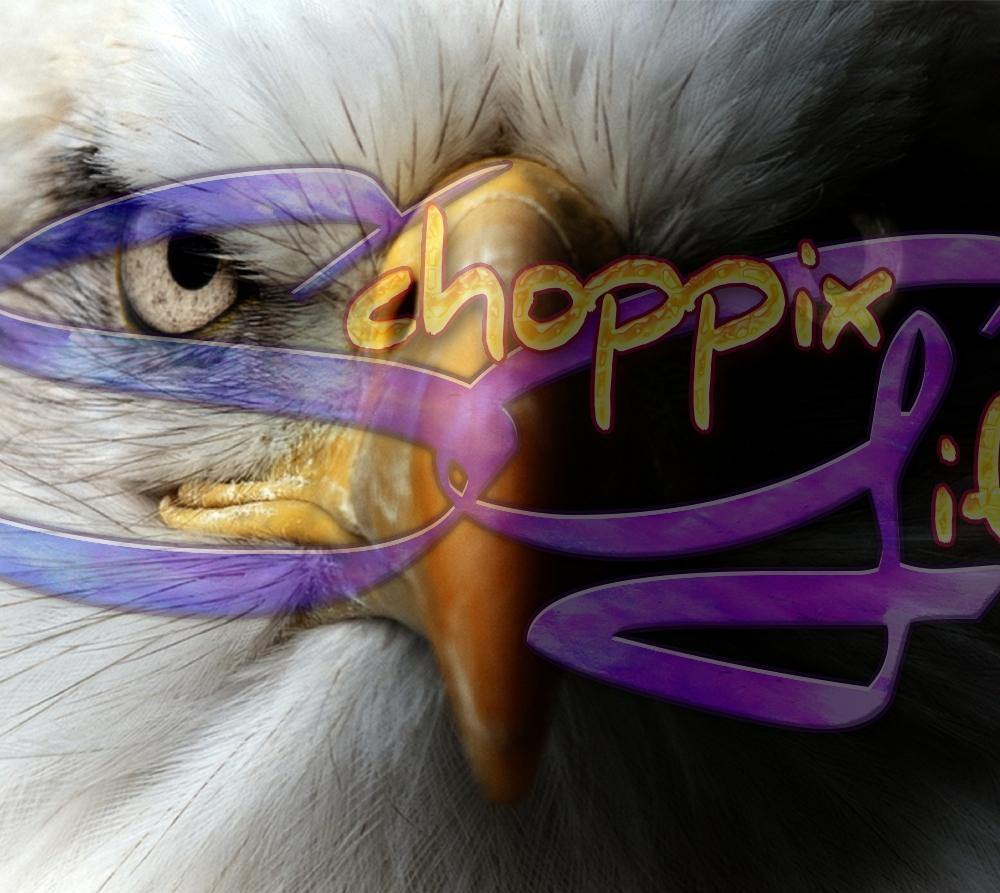 Bald Eagle Portrait 20oz Stainless Steel Tumbler - Schoppix Gifts