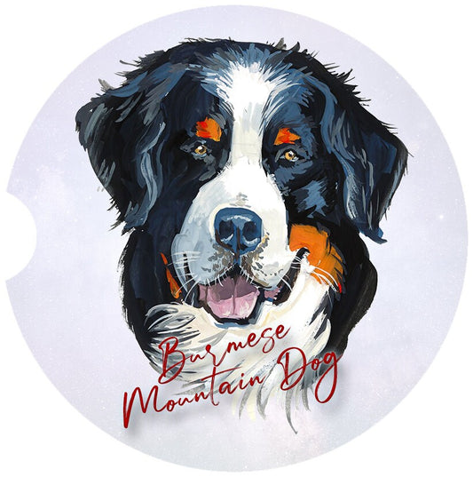 Burmese Mountain Dog Art Car Coasters  - Matching Pair - Schoppix Gifts