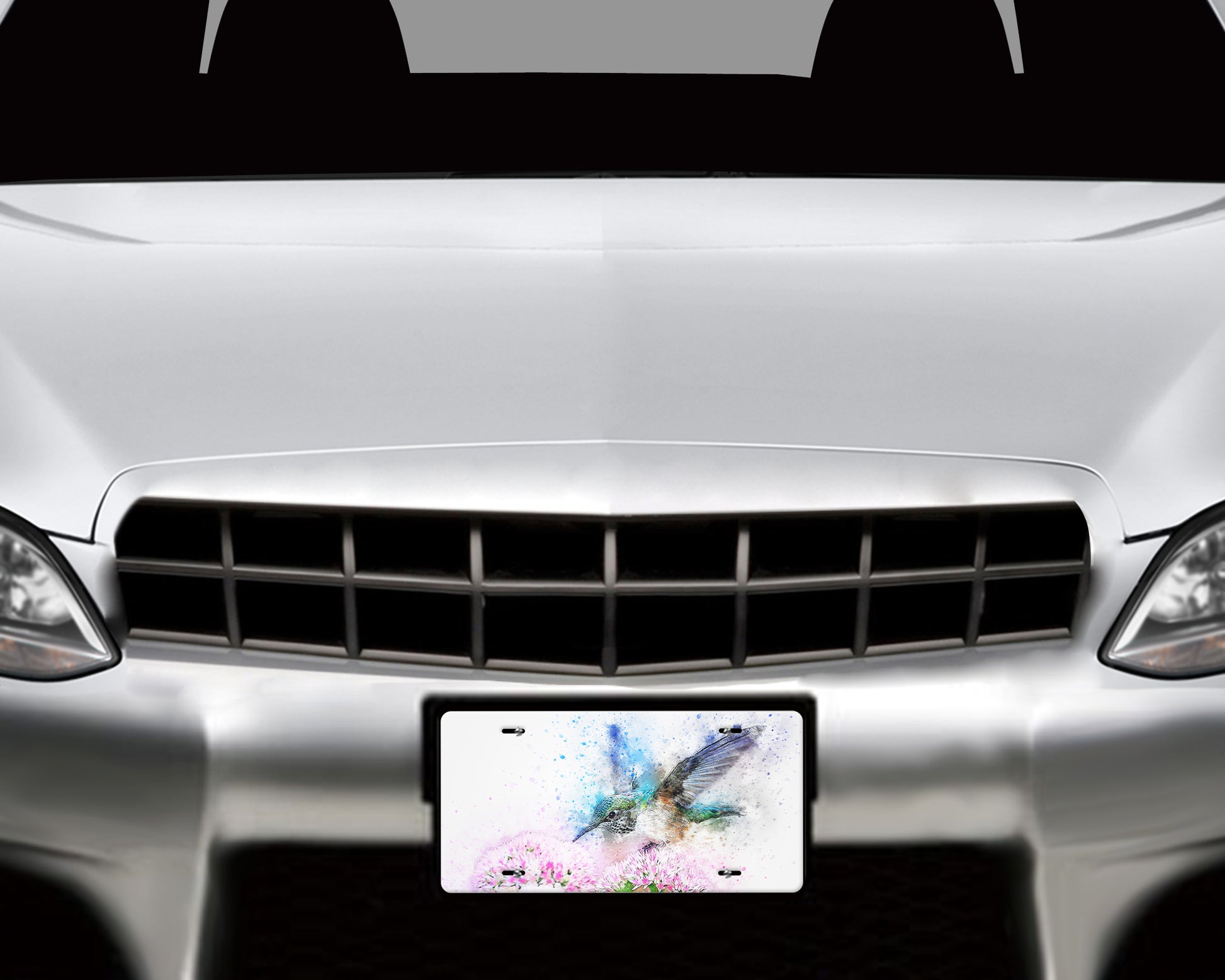 Watercolor style Hummingbird Aluminum License Plate - Schoppix Gifts