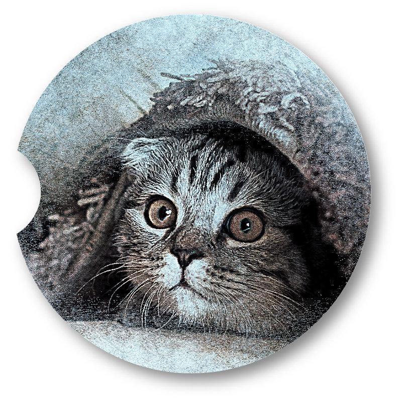 Kitten Car Coasters /Set of 2  . - Schoppix Gifts