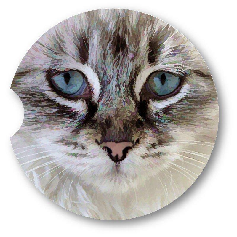 Cat Portrait Close up Sandstone Car Coasters  Set of 2 - Schoppix Gifts