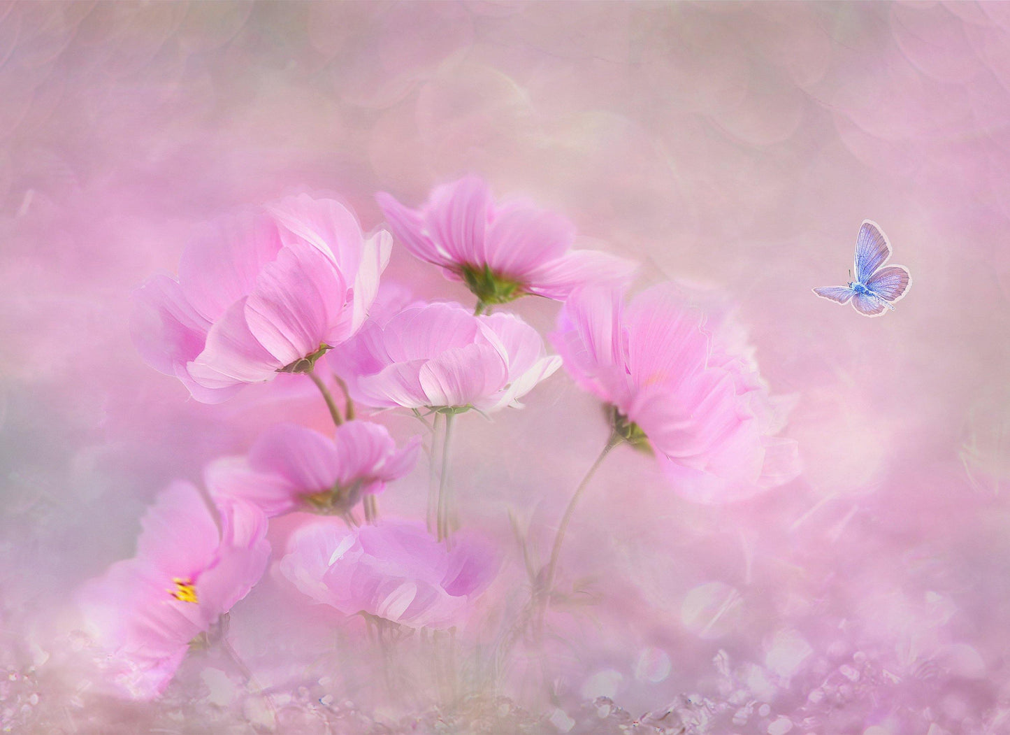 Blue Butterfly on Pink Flowers Glass Cutting Board - Schoppix Gifts