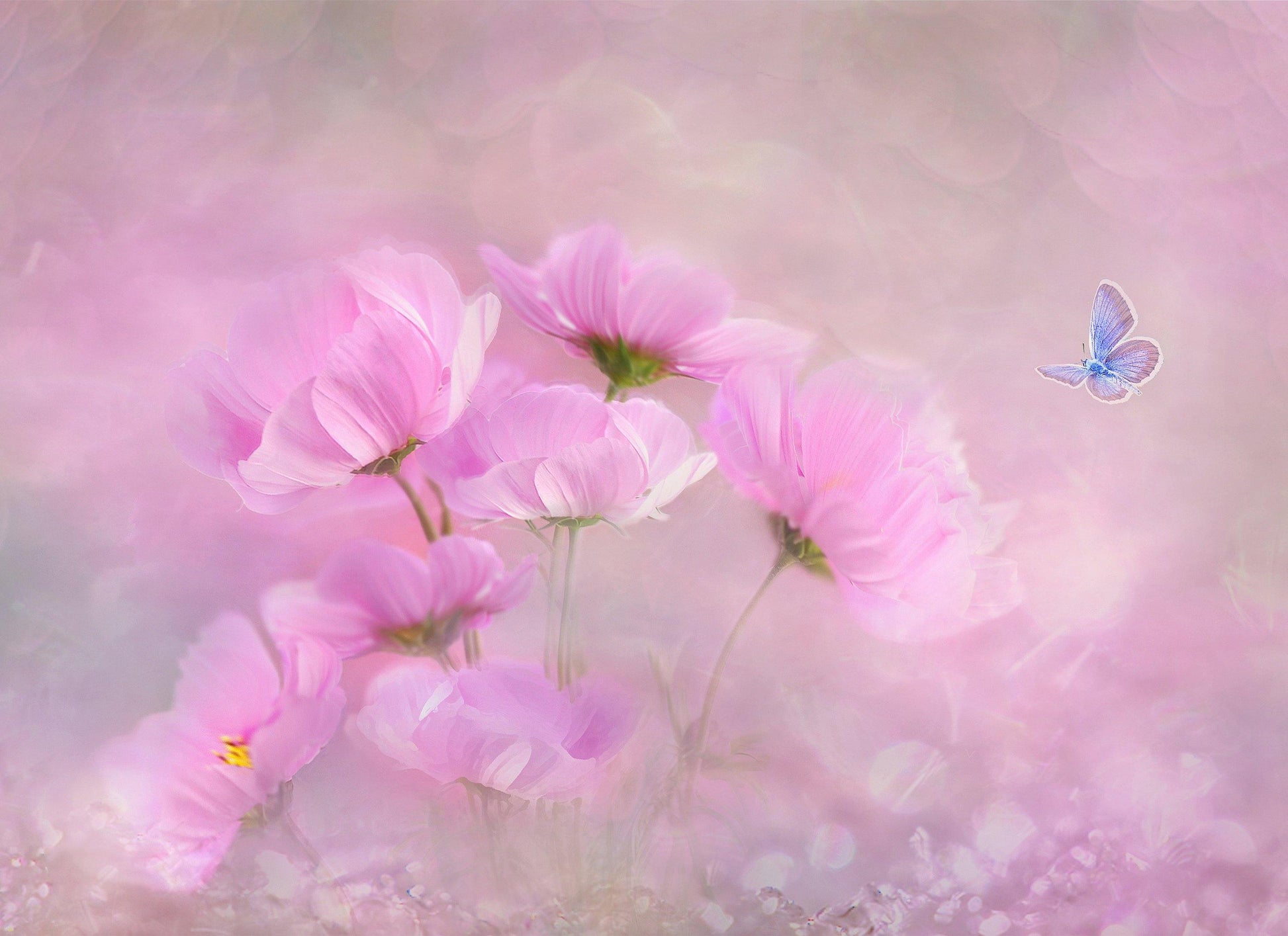 Blue Butterfly on Pink Flowers Glass Cutting Board - Schoppix Gifts