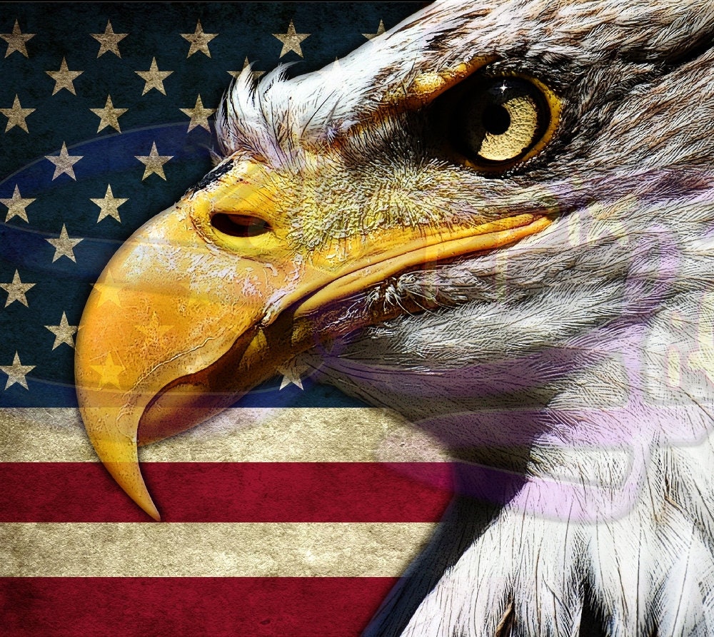 American Bald Eagle Art 20oz Skinny Tumbler - Stainless Steel