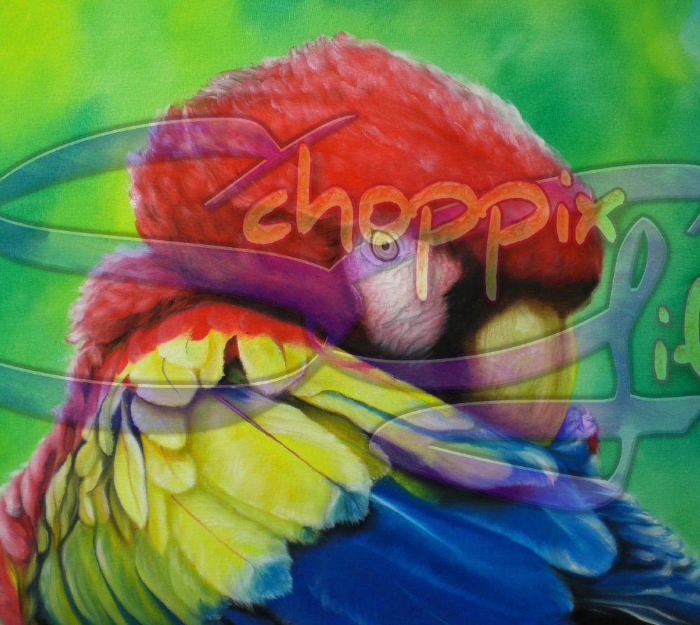 Beautiful Macaw Portrait Art 20oz Skinny Tumbler - Stainless Steel