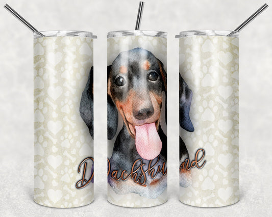 Dachshund Art 20oz Skinny Tumbler - Stainless Steel