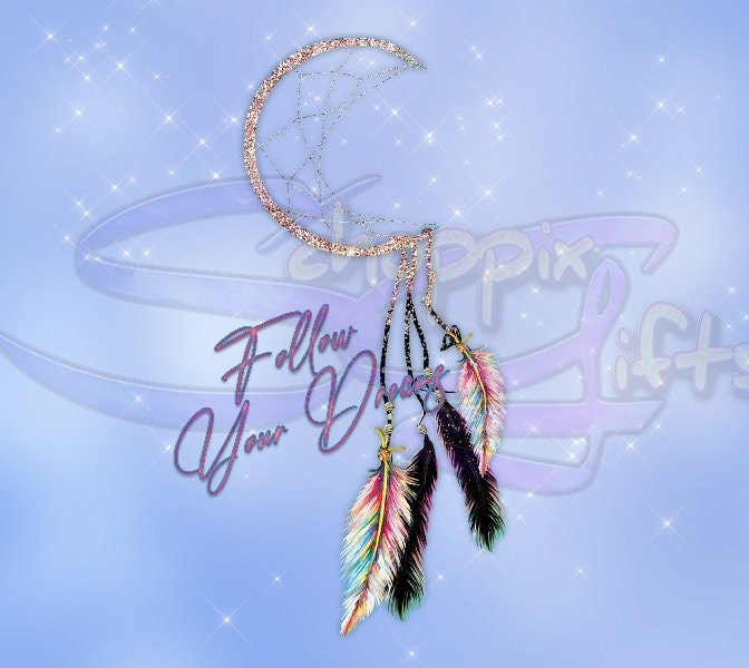 Follow Your Dreams Dreamcatcher Art 20oz Skinny Tumbler - Stainless Steel