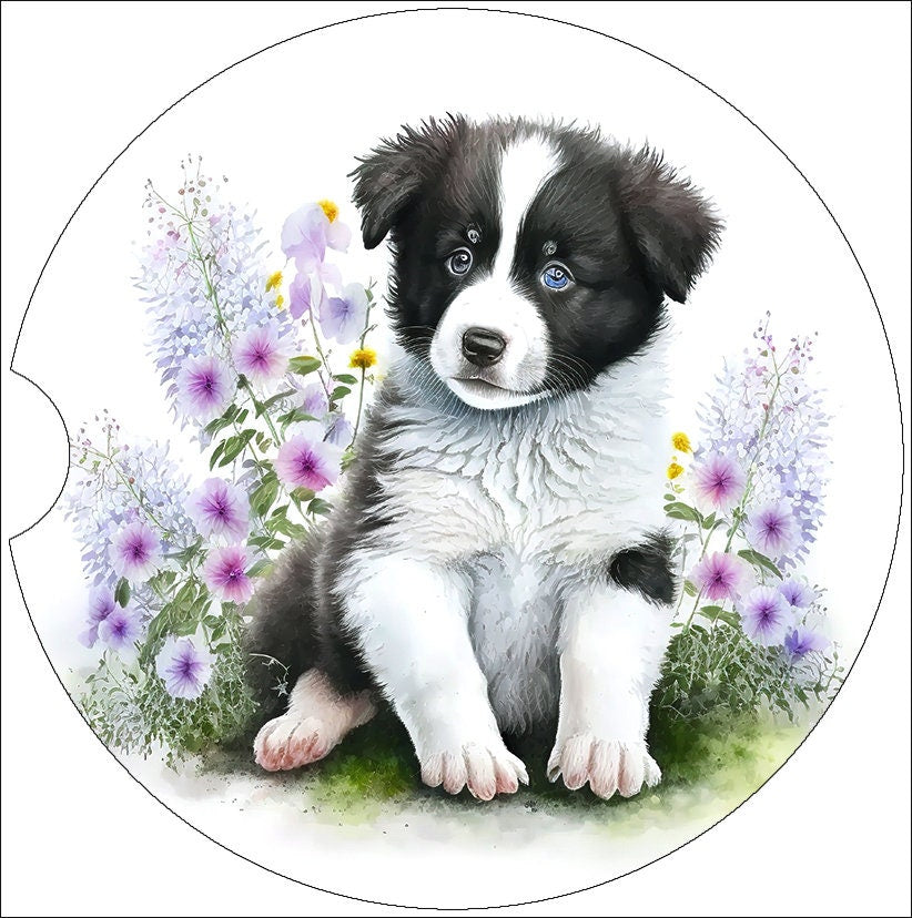 Border Collie Puppy Art Car Coasters - Matching Pair - Set of 2
